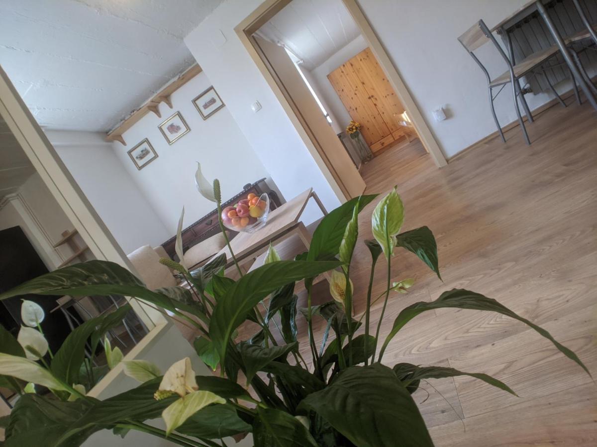Twin-Magnolias Condo With Garden, Parking & Ev Station Ζάγκρεμπ Εξωτερικό φωτογραφία