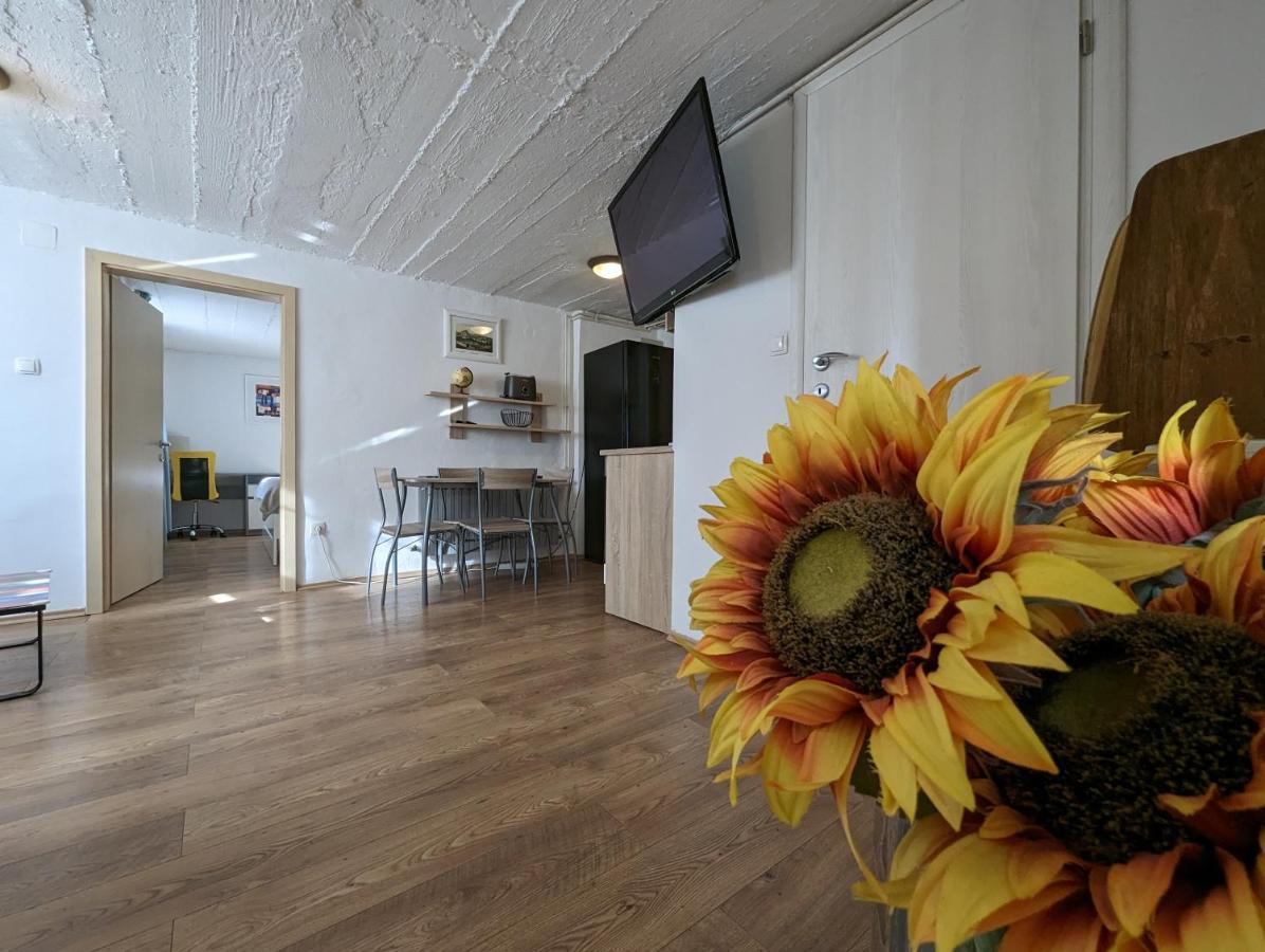 Twin-Magnolias Condo With Garden, Parking & Ev Station Ζάγκρεμπ Εξωτερικό φωτογραφία